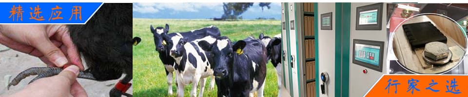 RFID解決方案|畜牧業(yè)動物管理/資產管理/無源測溫/寵物管理 - 上海營信-RFID技術專家